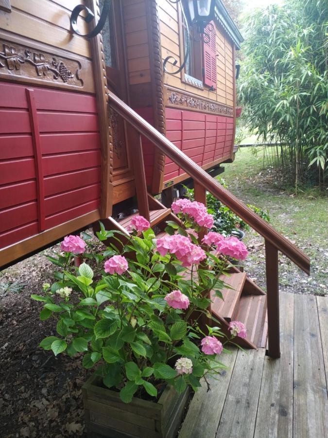 Les Roulottes Vesta Villa Léognan Eksteriør bilde